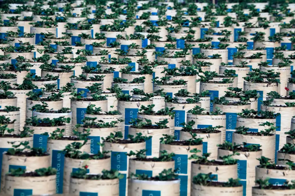 云南汇智科技PLC控制柜在水处理项目中的选型要点与配置方案